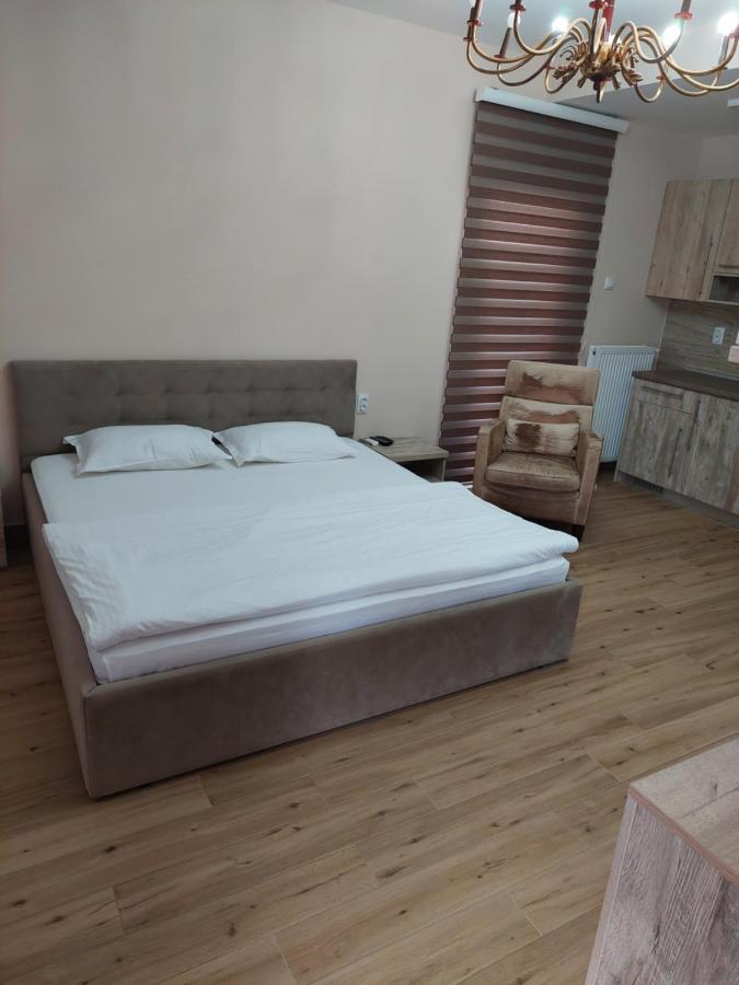 Hotel Alijansa à Čačak Extérieur photo